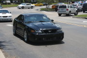 Black Mustang